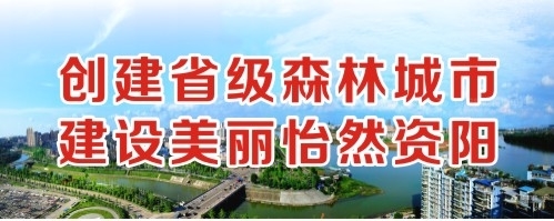 特逼特网址创建省级森林城市 建设美丽怡然资阳